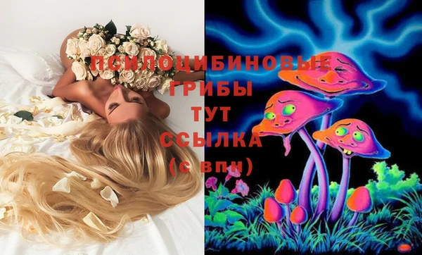 марки lsd Алексеевка