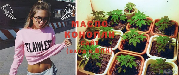 индика Армянск