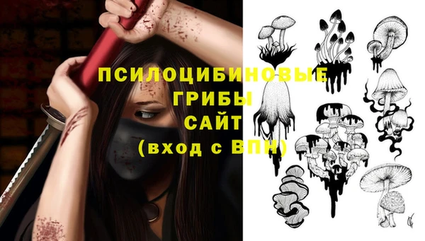 а пвп мука Аркадак