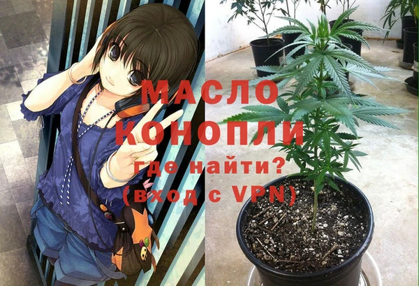 индика Армянск