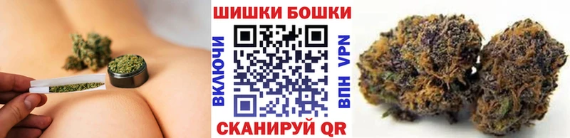 где можно купить   Тетюши  блэк спрут как зайти  Каннабис сатива 